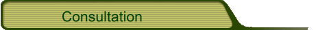 Consultation